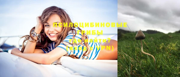 прущие крисы Вяземский