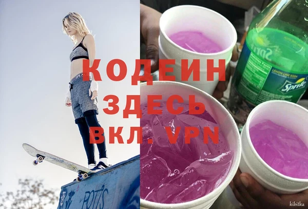 прущие крисы Вяземский