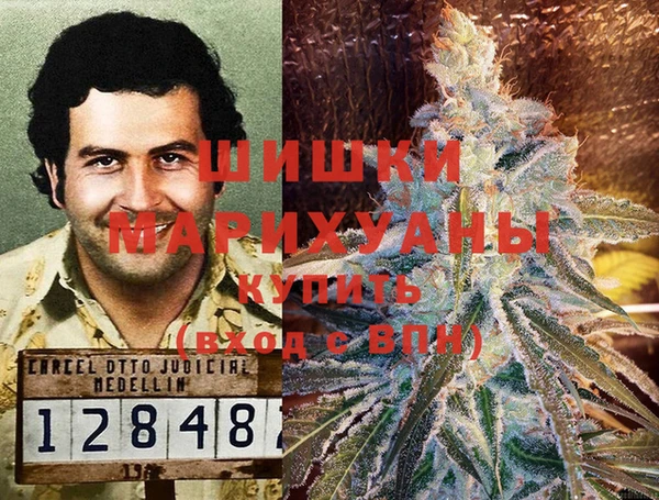 гидропоника Володарск