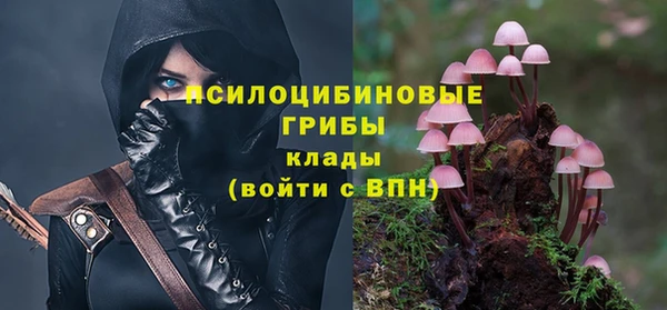 наркотики Бородино