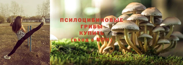 альфа пвп Верхнеуральск